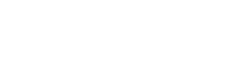 Social Survival Training Logo